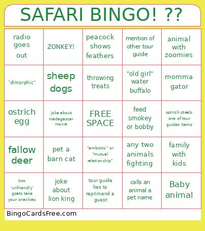 SAFARI ! ?? Bingo Card