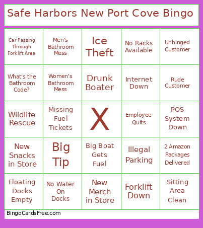 Safe Harbors New Port Cove Bingo Card
