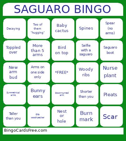 Saguaro Bingo Card