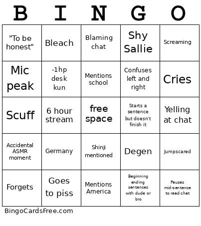 Sallie's 3.0 Bingo Card