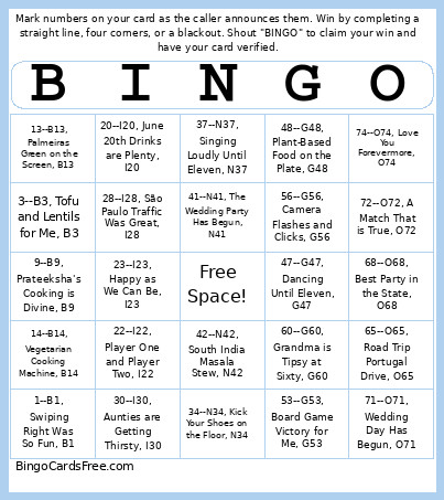 Samba And Spice Bingo Card