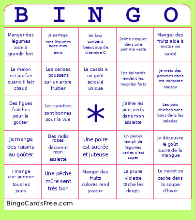 Santé Bingo Card