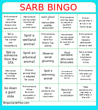SARB - Trent Trails Bingo Card