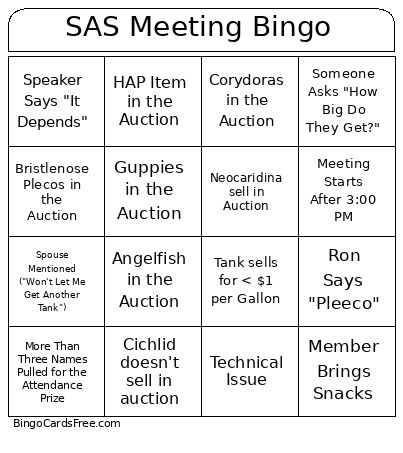 SAS Meeting 10/1/2026 Bingo Card