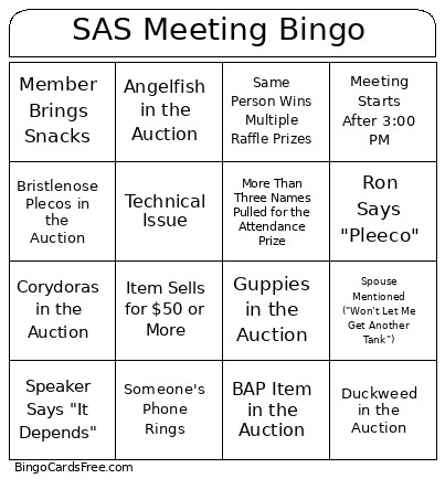 SAS Meeting Bingo Card
