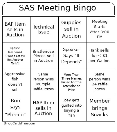 SAS Meeting Bingo Card