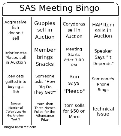 SAS Mega Auction 2026 Bingo Card