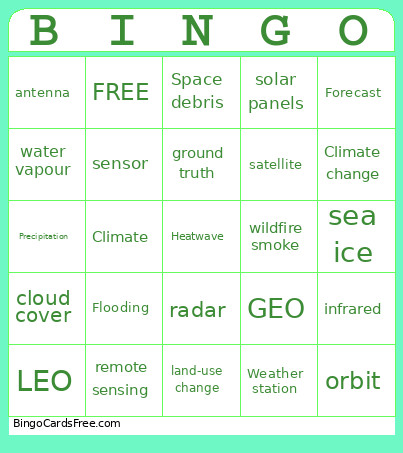 Satellite ! Bingo Card