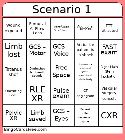 Scenario 1 Bingo Card