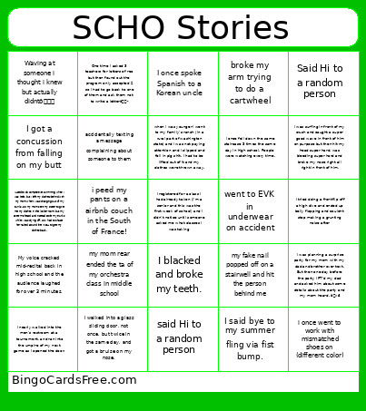 SCHO Stories Bingo Card