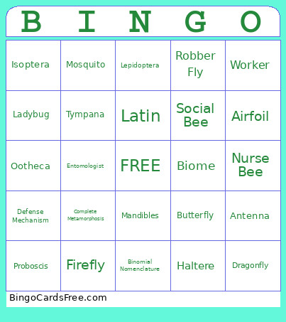 Science Class Bingo Card