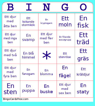 Scoutsafari Natur Bingo Card