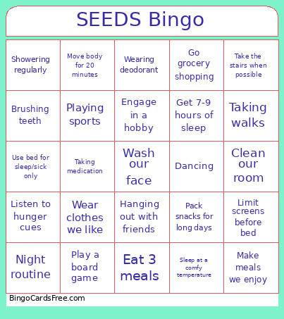 SEEDS Bingo Card 2