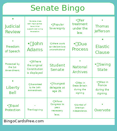 Senate Bingo Card