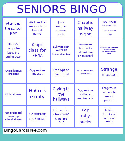 Seniors Bingo Card