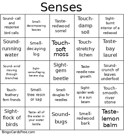 Senses Bingo Card