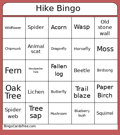 Sewall Bingo Card