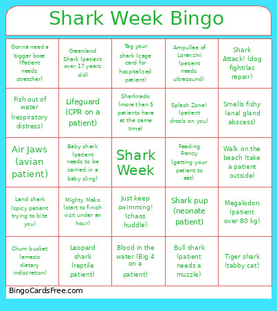 Shark Week Bingo Card