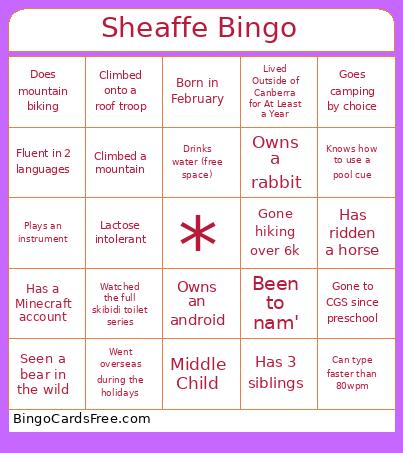 Sheaffe Bingo Card