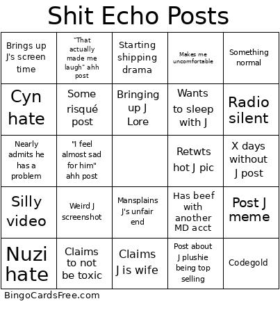 Shit Echo Posts Bingo Card