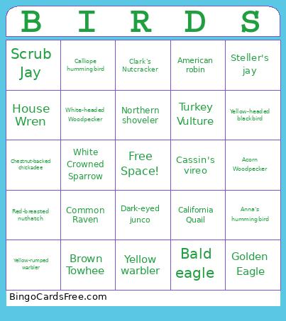 Sierra Nevada Bird Watching Bingo Card