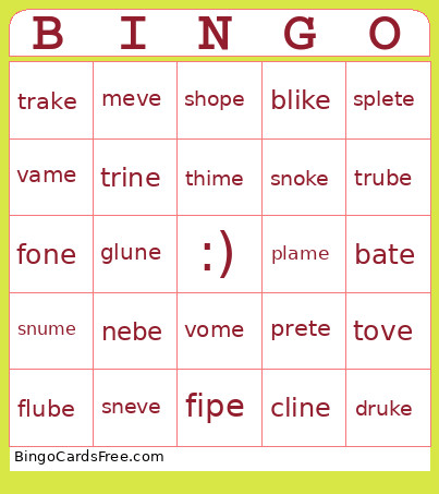 Silent-e Bingo Card
