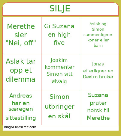 Silje Bingo Card