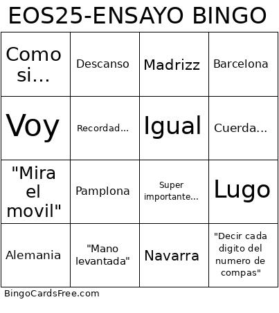 Silvia Sanz Rehearsal Bingo