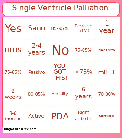 Single Ventricle Palliation Bingo Card