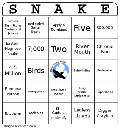 Sip 'n' Slither Bingo Card