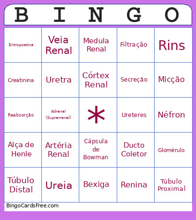 SISTEMA URINÁRIO Bingo Card