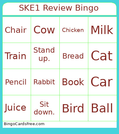 SKE1 Review Bingo Card