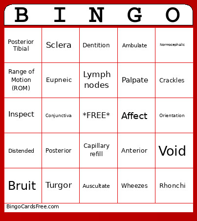 Skills Terminology Bingo Card