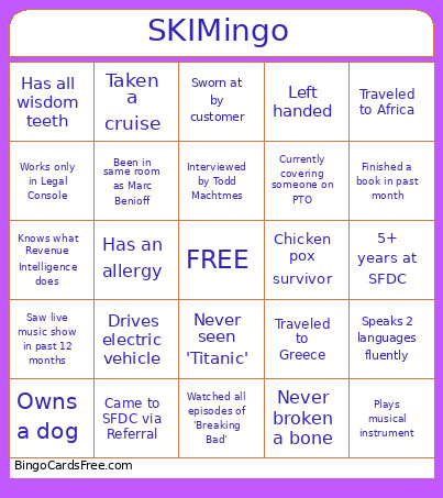 SKIMingo Bingo Card