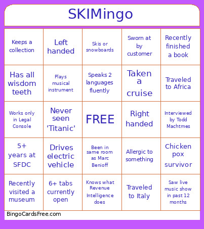 SKIMingo Bingo Card