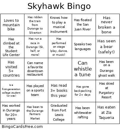 Skyhawk Bingo Card