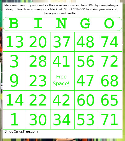 Skyline Scream - 1-75 Number + Audio Bingo Card