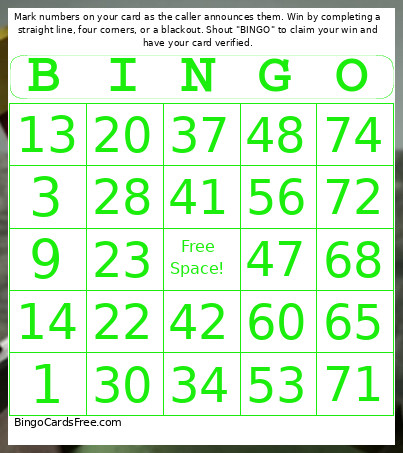 Skyline Scream - 1-75 Number + Audio Bingo Card 5