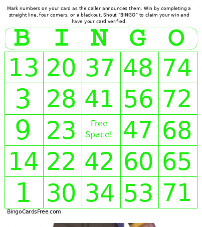 Skyline Scream - 1-75 Number + Audio Bingo Card 2