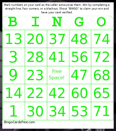 Skyline Scream - 1-75 Number + Audio Bingo Card 6