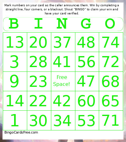Skyline Scream - 1-75 Number + Audio Bingo Card 4