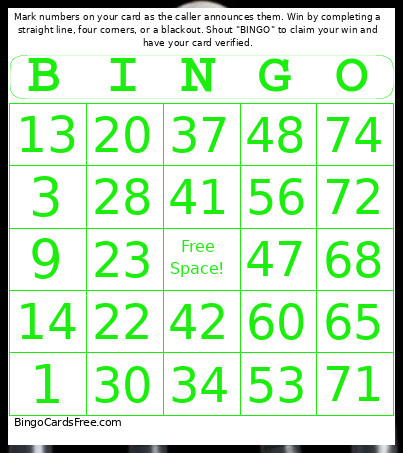 Skyline Scream - 1-75 Number + Audio Bingo Card 2