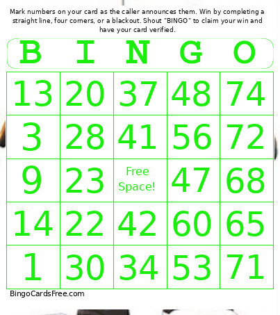 Skyline Scream - 1-75 Number + Audio Bingo Card