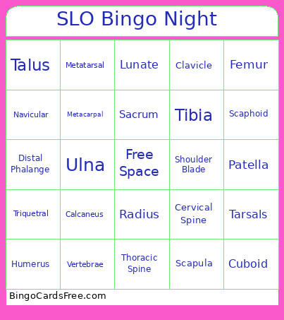 SLO Night Bingo Card