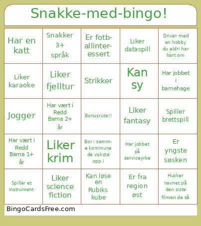 Snakke-med-bingo!