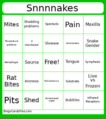 Snnnnakes Bingo Card