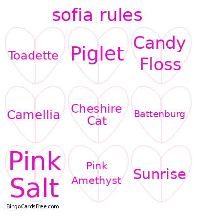Sofia Rules Bingo Card