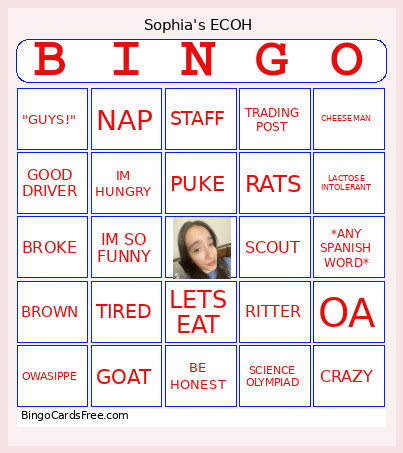 Sophia's ECOH Bingo Card