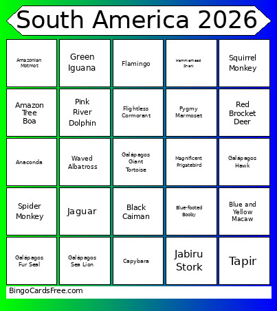 South America 2026 Bingo Card