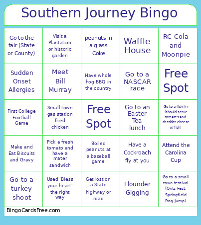 Southern Journey Bingo Card
